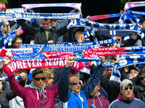 开云体育平台-球迷文化盛宴：从欧洲到亚洲的足球狂欢，中国足球球迷文化